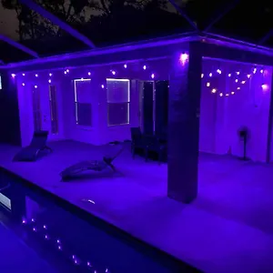 https://hidden-gem-in-the-heart-of-the-fl-33617.hotelstampa.org